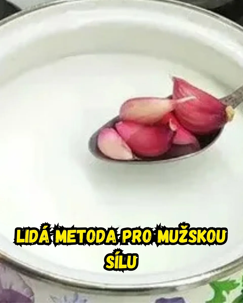 Vliv pohybu na vitalitu