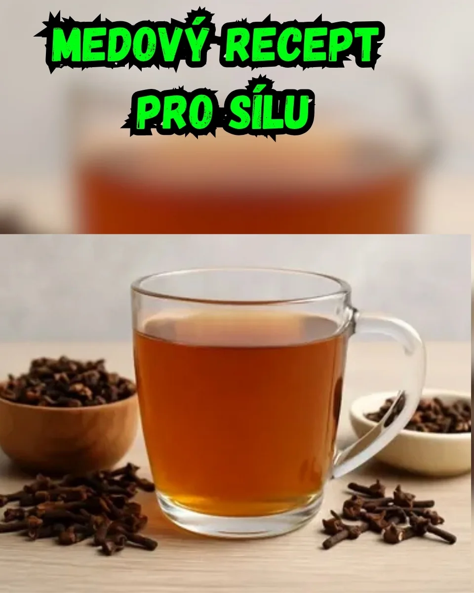 Spánek a regenerace